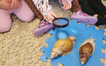 Zdjęcie WhatsApp 2025-11-14 o 19.33.51_bb4bb369