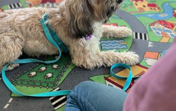 Zdjęcie WhatsApp 2025-11-14 o 19.33.51_d02b0fbc