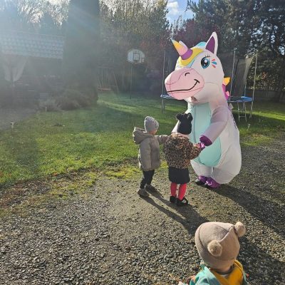 Zdjęcie WhatsApp 2025-11-14 o 19.33.52_16e463ec