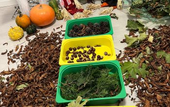 Zdjęcie WhatsApp 2025-11-16 o 10.52.15_2bfc5813